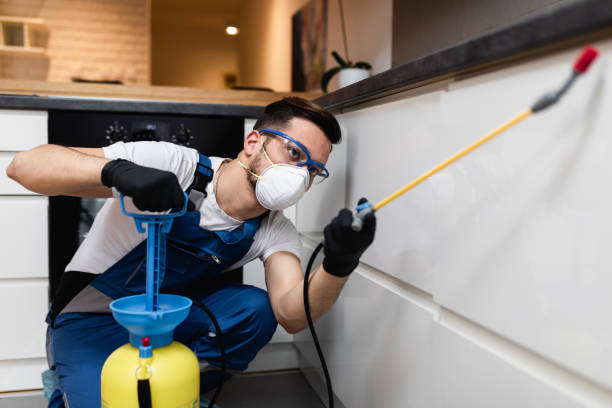 Trusted Camas, WA Pest Control Experts